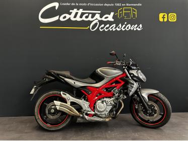 SUZUKI GLADIUS 650